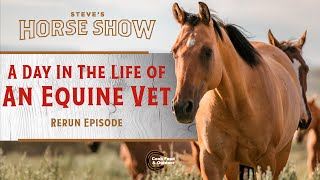 INSIDE LOOK: WHAT DOES AN EQUINE VET DO?
