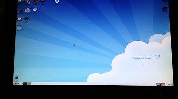 Wyse S10 thin client running puppy linux