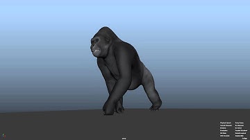 Gorilla Walk Cycle