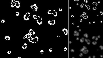 SmoothLife in Matlab with an increasing time differential