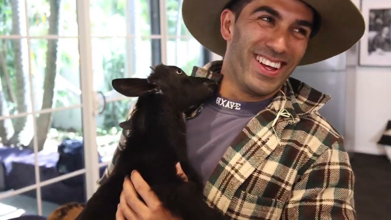 They Turned My House into a Farm