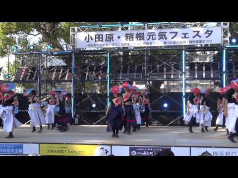 さがみ信用金庫「翔舞」＠2013　ODAWARAえっさホイおどり