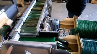 Zucchini-Verpackung Semiautomatisch - Affeldt Resale Gmbh