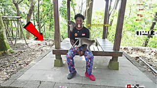 iShowSpeed’s Mic Stolen by a Cheeky Monkey in Bali's Monkey Forest – You Won’t Believe What Happened