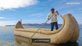 The Unique Floating Islands of Lake Titicaca