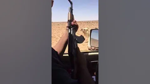 شخص يذبح جمل برشاش 