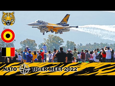 NATO Tiger Meet 2022: Belgian Air Force & X-Tiger Demo