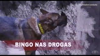 APREENSÃO DE DROGAS EM COMUNIDADE DE SÃO PAULO