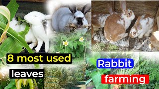 Ads video related