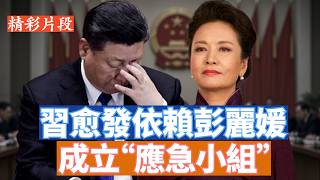 爆料熱傳中央成立七人應急小組，彭麗媛負責；還有說胡春華要奪軍委主席。21大前局勢究竟如何？該怎麼看這樣的訊息？ 【李軍說新聞20261012第180期】#精彩片段