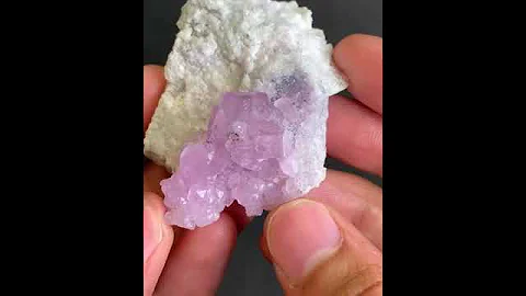 Apatite Caf on Albite