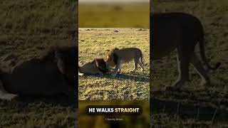 #shorts #viral #funnyvideo #shorts #viral #funnyvideo