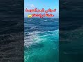 اللهم أسترنا فوق الارض وتحت الأرض يوم العرض 173 اكسبلور 2024