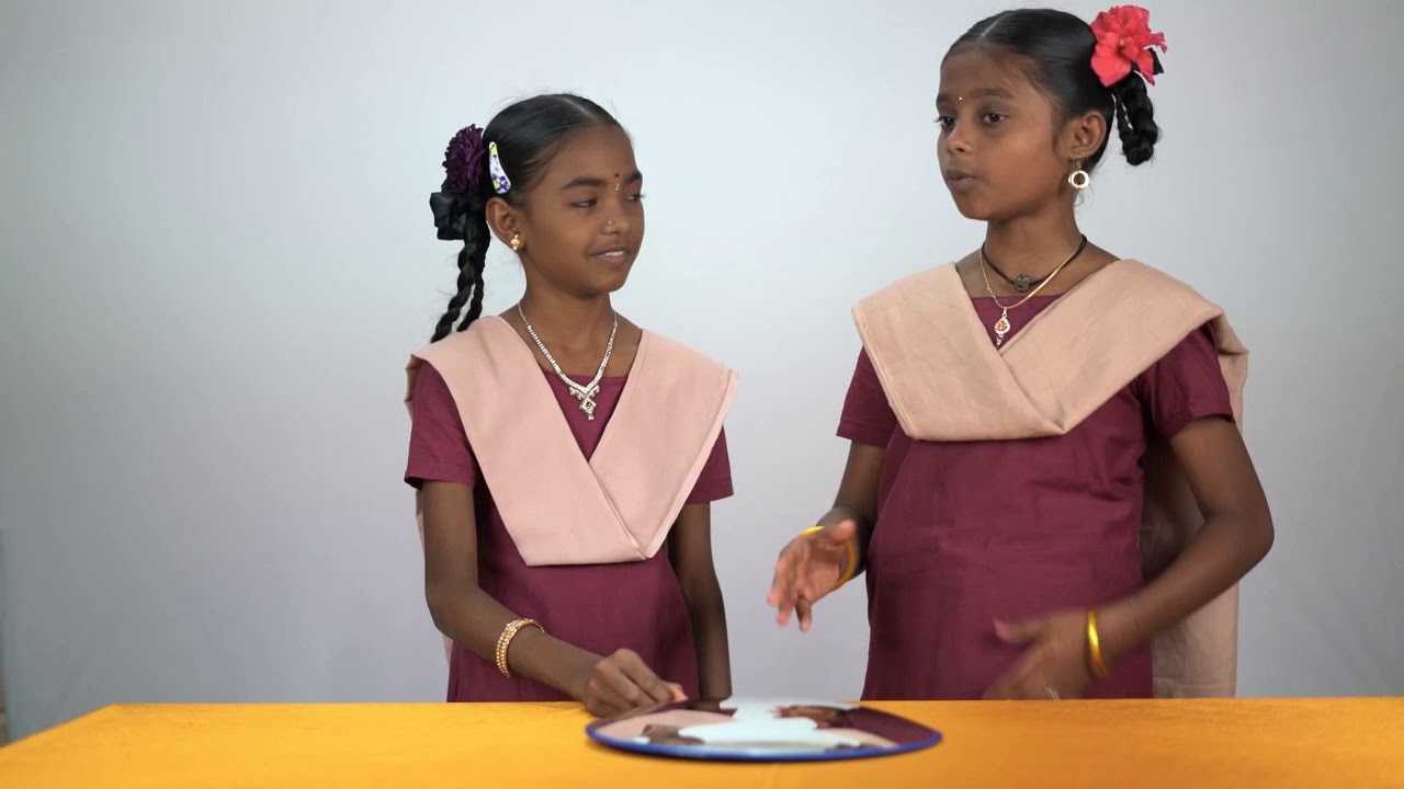 tn scert 11th model question paper எளிய அறிவியல் சோதனைகள்