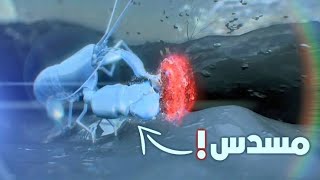 قتال فريد من نوعه بين كائنات بحرية تملك مسدس!  (القريدس ذي المسدس) A unique fight between marine