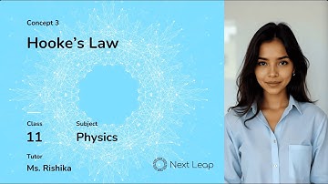 Hooke’s Law | Class 11 Physics | Mechanical Properties of Solids