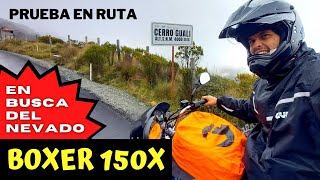 Boxer 150 X at over 4,000 meters above sea level #bajajboxer screenshot 4