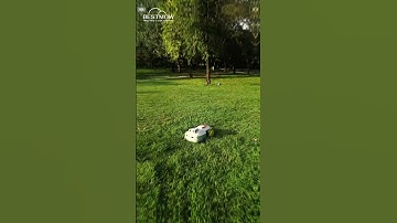 Robot Mower Handles 1.5 Acres—No Problem