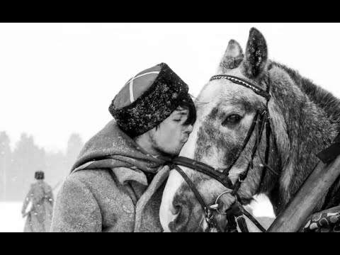 '💥ОРЛЁНОК' (белоказачий) @galinakatracheva