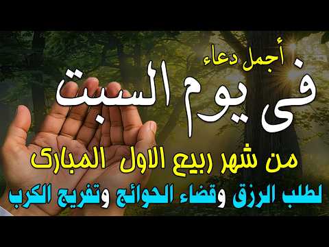 دعاء فى يوم السبت المستجاب دعاء يوم 16 من شهر ربيع الاول للرزق والشفاء العاجل وقضاء الحوائج🤲(4k)
