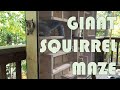Testing my Giant Squirrel Maze