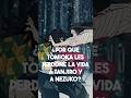 ¿Por qué Tomioka le perdonó la vida a Nezuko y Tanjiro?🥺😭😨