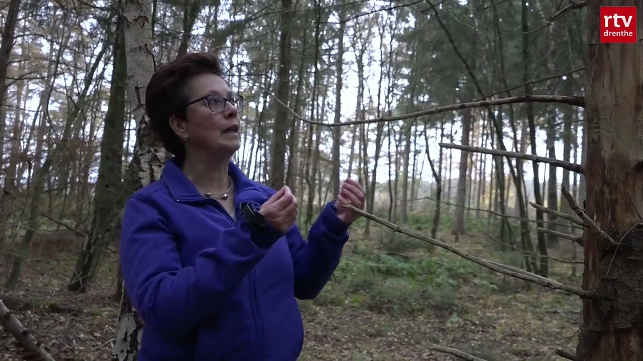 Nieuwe natuurgids in Drenthe: Rolinda Tinge