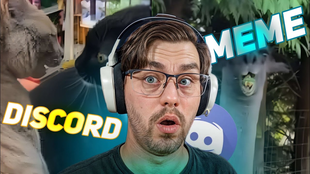 The Discord Memes That Broke My Brain