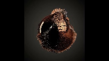 Cinema 4D Animated Noise Map