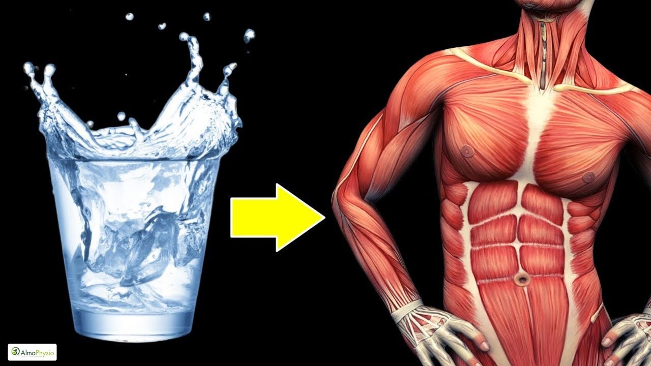 Ho bevuto SOLO ACQUA per 20 giorni, GUARDA cosa è successo al mio CORPO