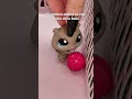 Cuando la pelota se caía fuera de la vaya del colegio #fypシ゚ #littlestpetshop #humor