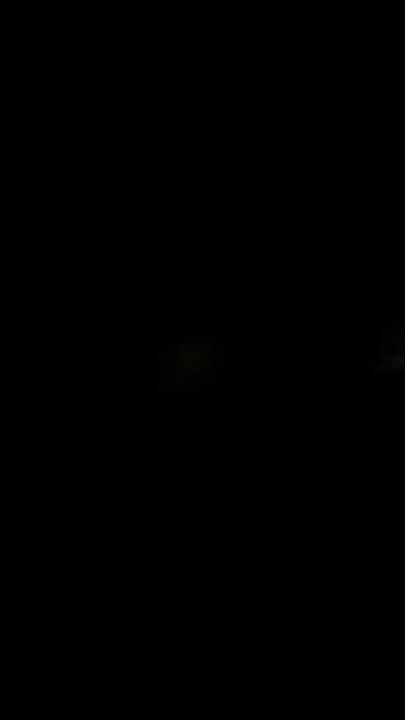 oi kiyomasa nande nande😱