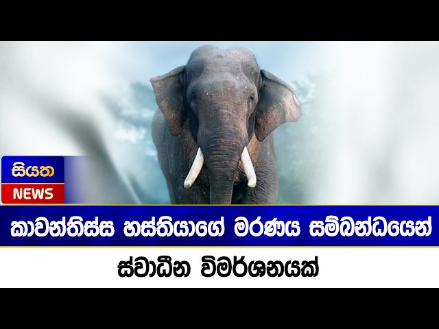 කාවන්තිස්ස හස්තියාගේ මරණය සම්බන්ධයෙන් ස්වාධීන විමර්ශනයක් | Siyatha News
