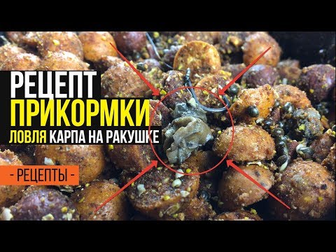 Video: Recept Na Domácu Výrobu Sleďa Kapra + Video