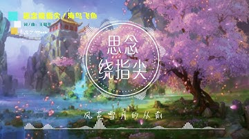 『思念绕指尖』 海鸟飞鱼 (女声独唱版)【最无尽的是思念你来过的夏天，在我的漫长寒冷冬天..】※{ 动态歌词 Lyrics }※❤️•*¨*•♫♪
