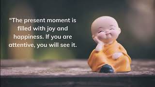 ZEN Master Thich Nhat Hanh Quotes on Love, Peace, Mindfulness |  QUOTES TO CALM YOUR MIND screenshot 3