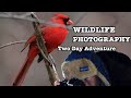 Two Day Wildlife Photography Adventure