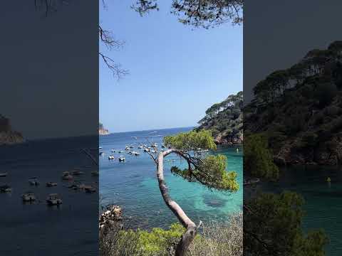 Cala Aiguablava Begur