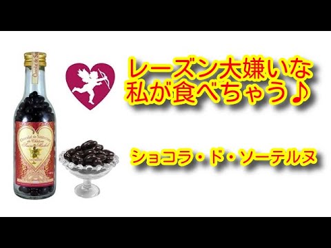 【レーズン嫌いが食べれちゃう】貴腐ワインチョコ！ショコラ・ド・ソーテルヌ