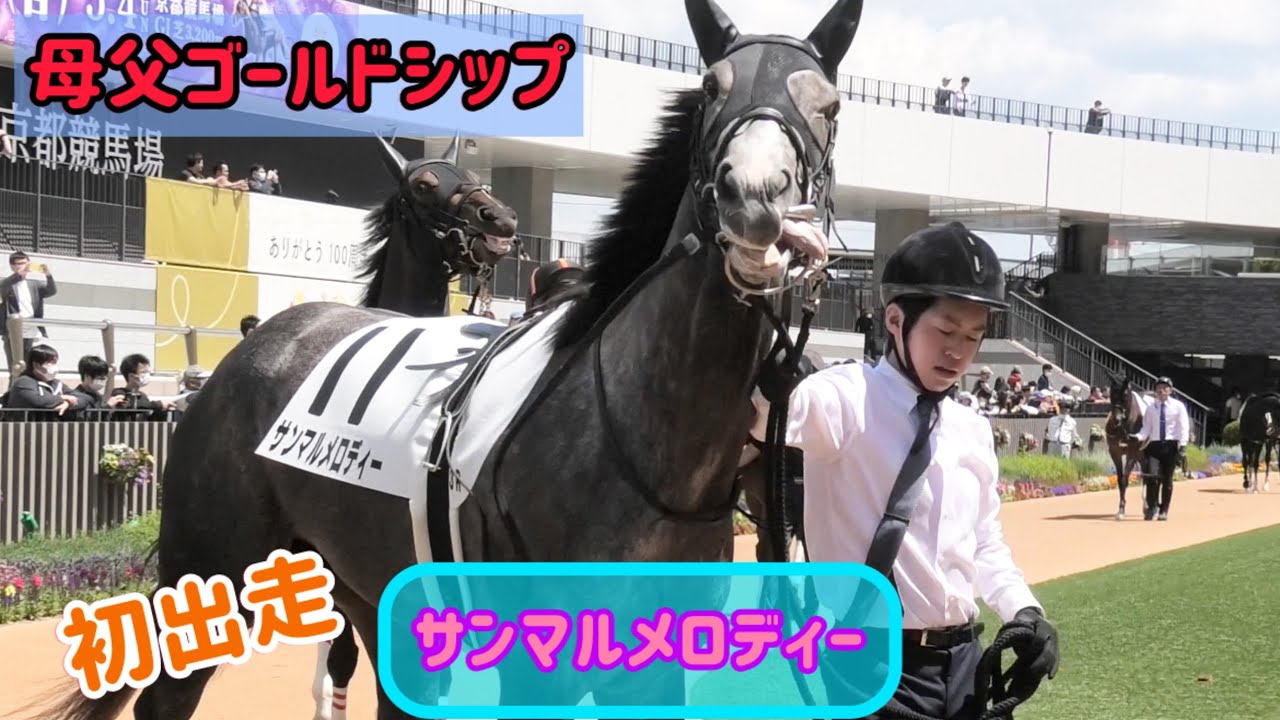 サンタの競馬　ゴールドシップ　デュラメンテ サンタの競馬 ゴールドシップ デュラメンテ サンタの競馬 ゴールド