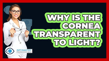 Why Is The Cornea Transparent To Light?