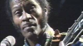 Video thumbnail of "CHUCK BERRY - the blues"