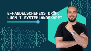 E-handelschefens dröm: lugn i systemlandskapet