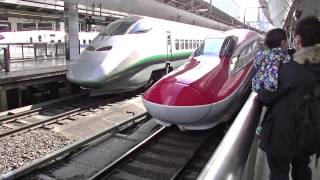 E6系 Z17編成【こまち35号】+E5系 U7編成【はやて35号】東京駅発車