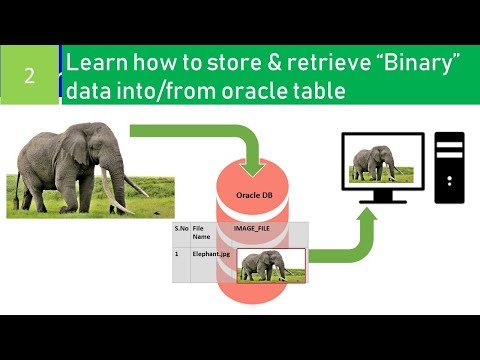 How To Save & retrieve Image files into/from database table using BLOB column