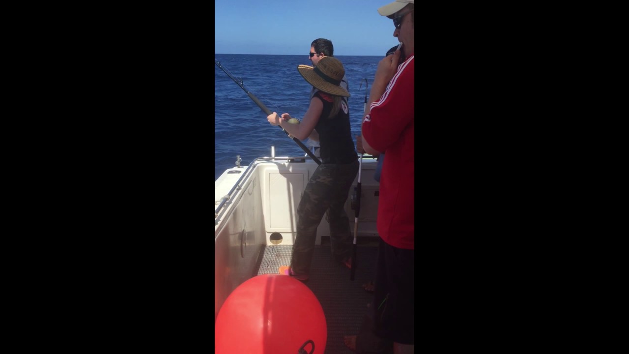 SUNSHINE COAST FISHING CHARTERS