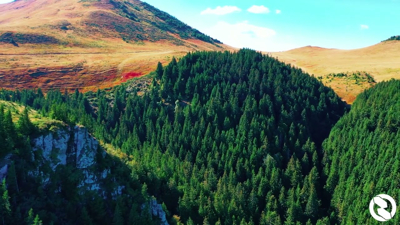 Lush Lofi - Those Eyes