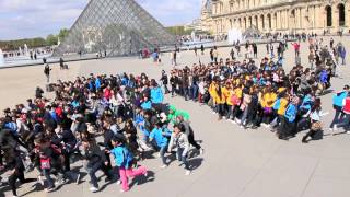 IQUF FLASHMOB IN PARIS