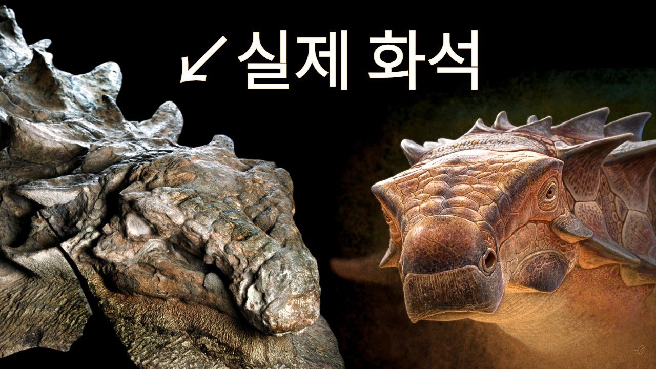 세상에서 가장 완벽한 공룡 화석 - YouTube