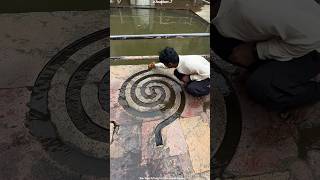 Maze Trick Revealed Important Life Lesson #shortvideo